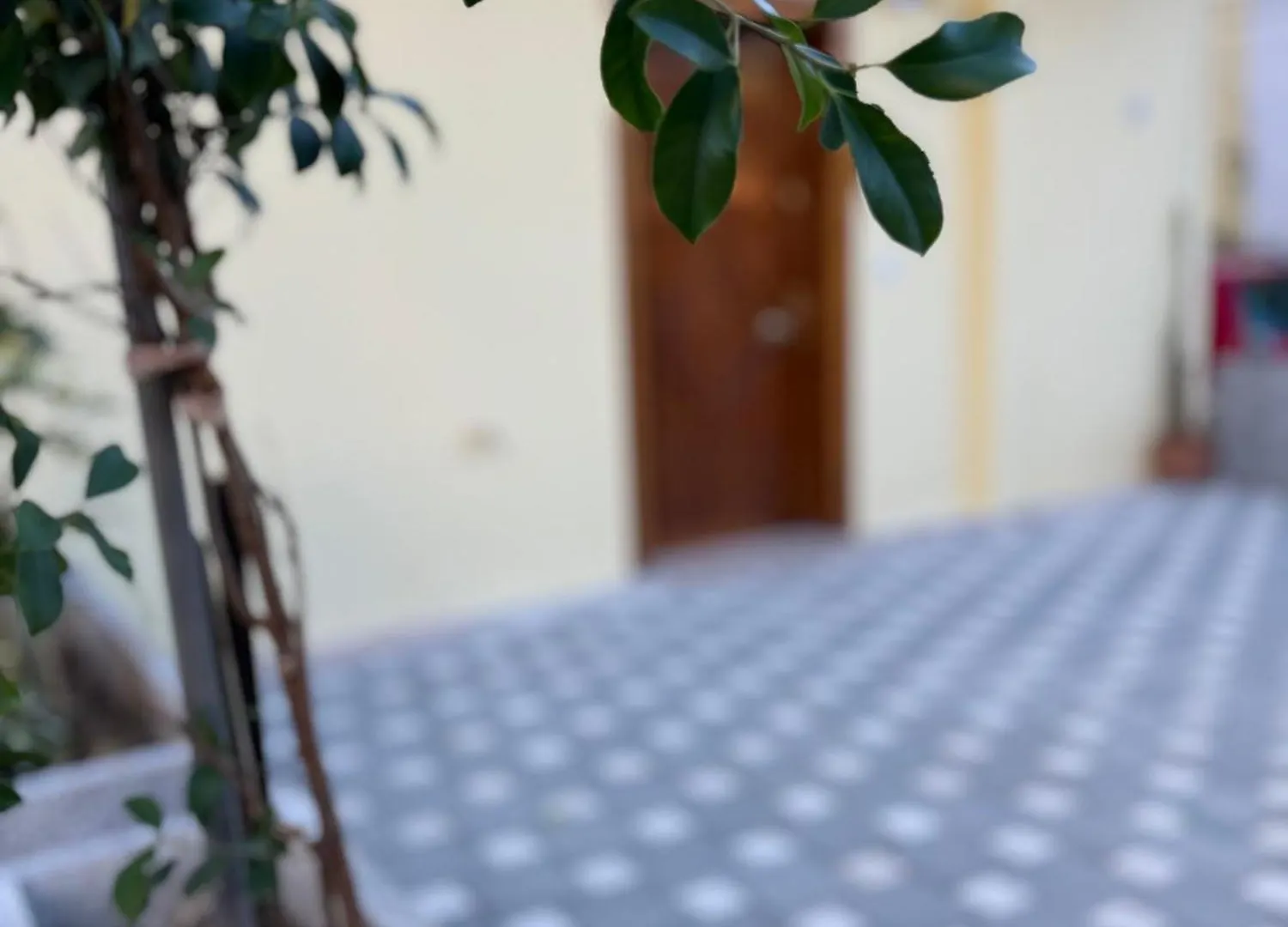 Lejlighed Sister'S Apt Tirana